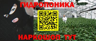 гидра Шелехов