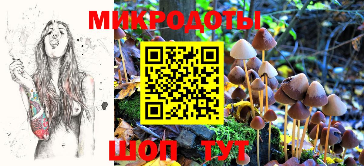 Галлюциногенные грибы ЛСД Новошахтинск