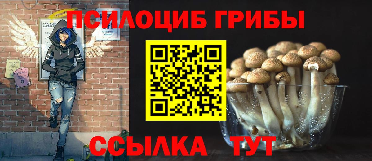Галлюциногенные грибы Psilocybe  Вход с VPN  Новошахтинск 